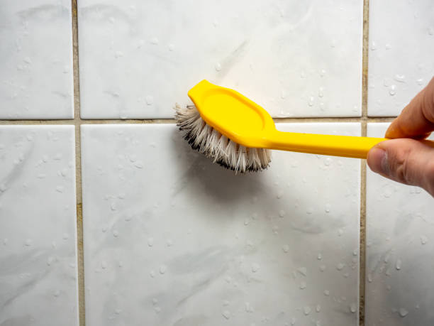 Certified Mold Removal in Grottoes, VA