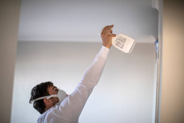 Best Black Mold Removal  in Grottoes, VA