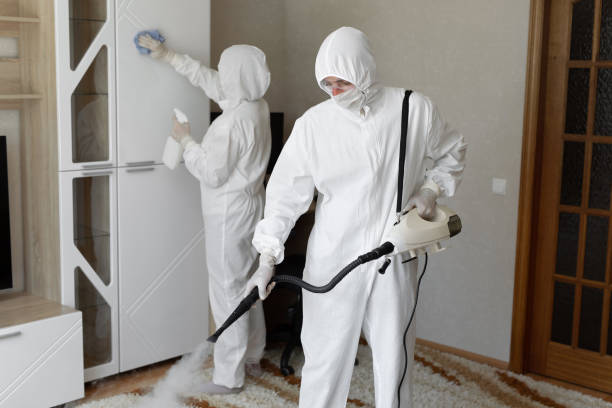 Mold Removal Process in Grottoes, VA