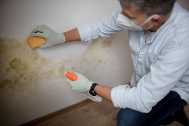 Best Residential Mold Removal  in Grottoes, VA