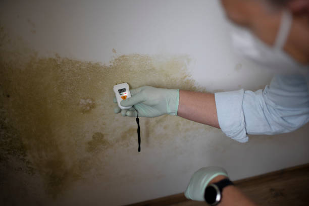 Best Commercial Mold Removal  in Grottoes, VA