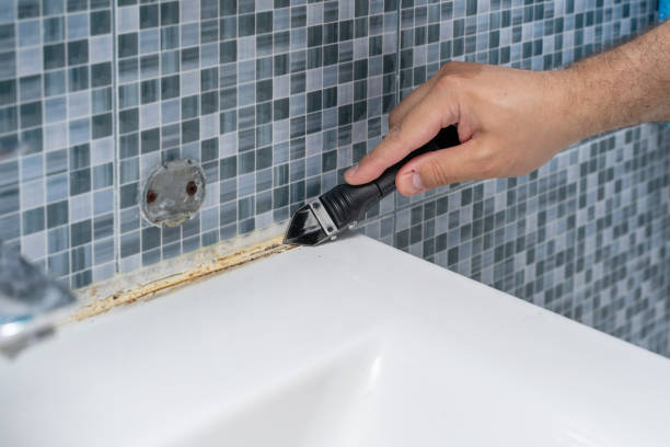 Best Mold Removal Company Near Me  in Grottoes, VA