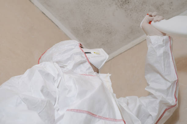 Best Water Damage Restoration  in Grottoes, VA