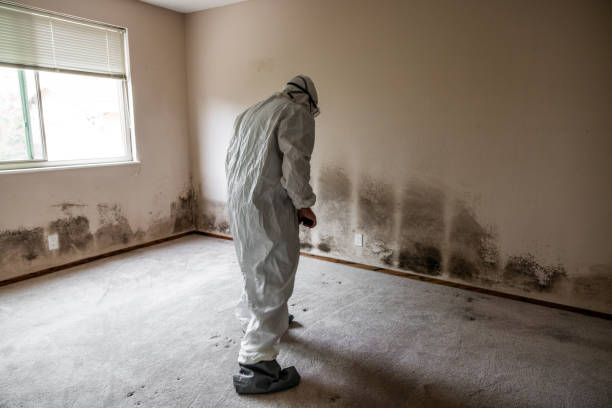 Best Mold Testing  in Grottoes, VA