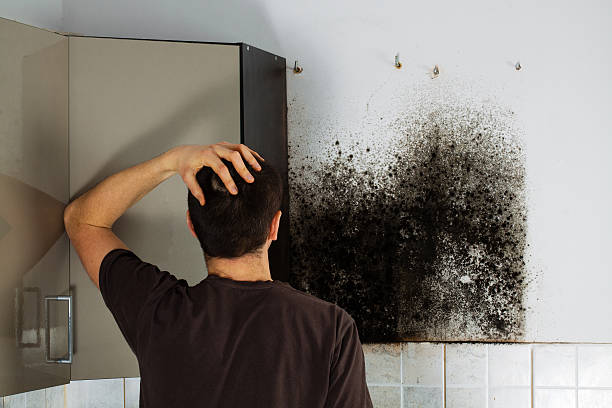 Best Affordable Mold Removal  in Grottoes, VA